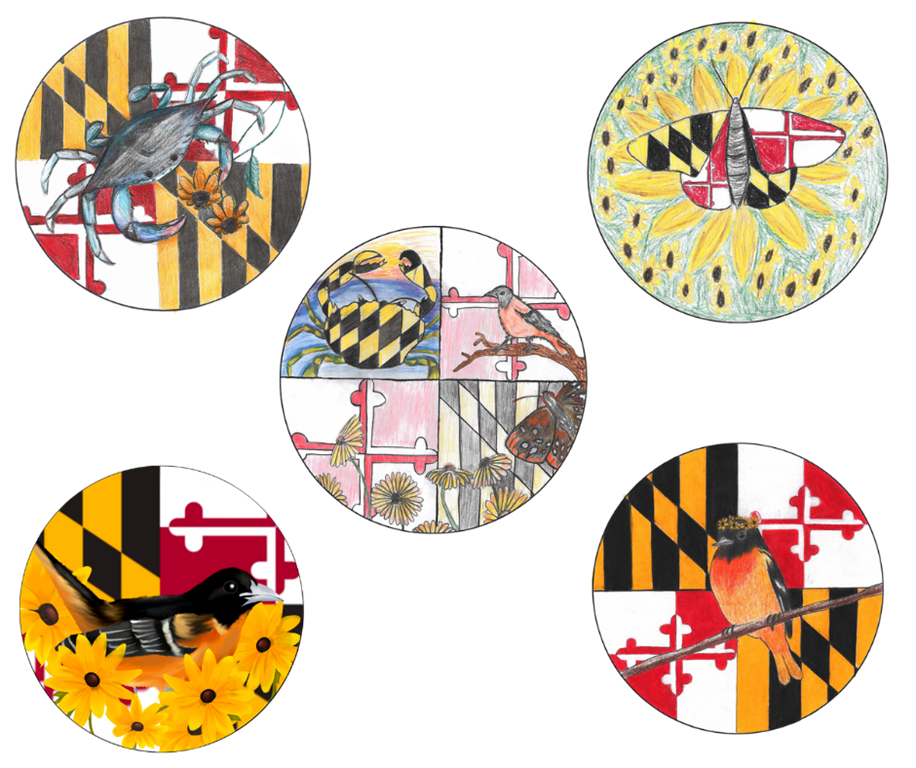 Hyattsville MS student ornaments 2020